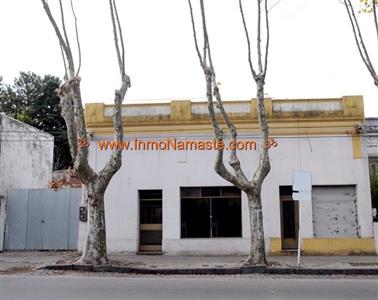 Importante Predio de 1350 m2 con Local en el centro de Colonia del Sacramento