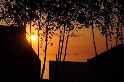 Importante Predio de 1350 m2 con Local en el centro de Colonia del Sacramento