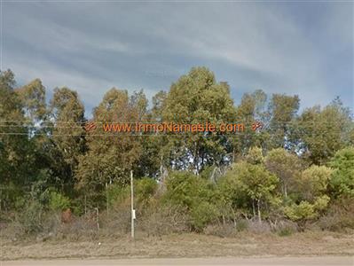 Terreno en Sauce de Portezuelo Sobre Ruta Interbalnearia