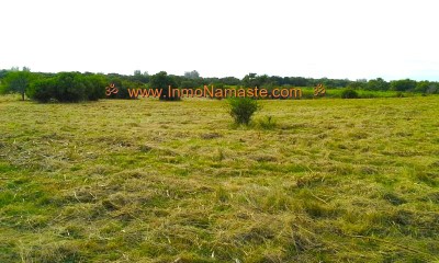 Hermosa Chacra 18.5 Has Cerca de Punta del Este