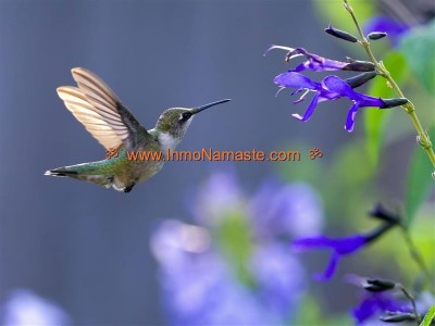 Excelente Terreno en Santa Ana