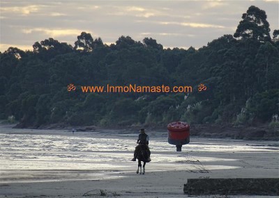 Excelente Terreno en Santa Ana